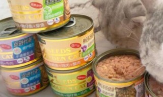 猫罐头夏天要放冰箱吗 猫罐头冬天要放冰箱吗