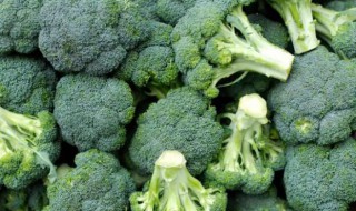 西兰花常温下可以放多久 西兰花能放多久