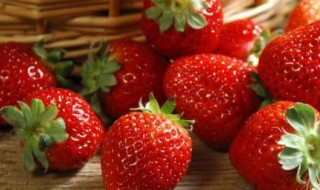 草莓夏天要放冰箱吗（夏天草莓可以放冰箱吗）