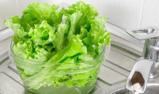 生菜常温下可以放多久 生菜常温怎么存放