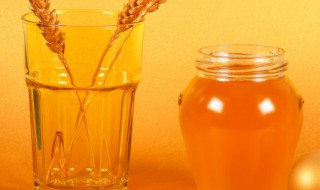 蜂蜜怎么储存法夏天要放冰箱吗 蜂蜜需要放冰箱保存吗