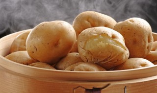 土豆常温下可以放多久（土豆室温下能放多久）