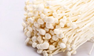 金针菇常温下可以放多久（金针菇在常温下可以放多久）