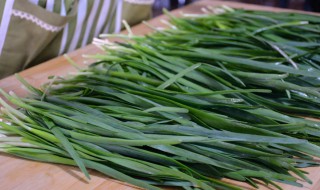 韭菜常温下可以放多久 韭菜可以常温保存吗
