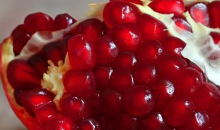 石榴盆栽种植方法是什么 石榴如何盆栽