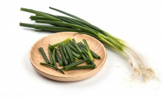 盆栽小葱的种植方法 盆栽小葱的种植方法和注意事项