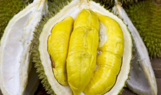 榴莲能保存多久 开壳的榴莲能保存多久