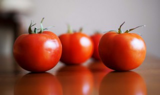 西红柿怎么栽培（西红柿怎么栽培产量高）