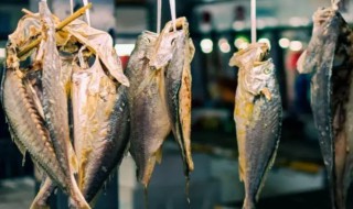 咸鱼可以放在冰箱里的冷冻层吗（咸鱼需要放冰箱里冷冻吗）