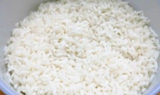 糯米可以放冰箱冷藏吗 糯米能放在冰箱冷藏吗