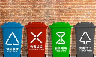 枯萎的水培植物属于什么垃圾(枯萎的鲜花和水培植物属于什么垃圾)