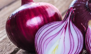 中国洋葱之乡是哪 中国哪里洋葱最著名