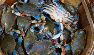 梭子蟹水煮多长时间（梭子蟹水煮要多长时间）