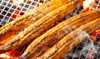 微波炉烤鳗鱼的做法 烤鳗鱼 微波炉