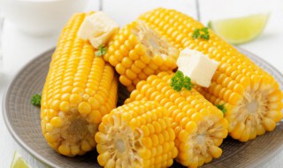 微波炉玉米的做法（玉米怎么用微波炉）