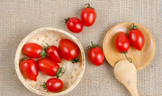 小番茄怎么保存 千禧小番茄怎么保存