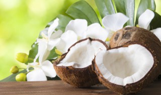 椰子肉怎么保存 椰子肉怎么保存能放多久