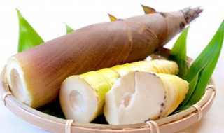 春笋怎么保存到冬天 春节冬笋怎么保存