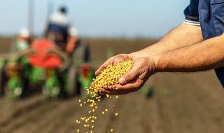 种子怎么保存(种子怎么保存到第二年)