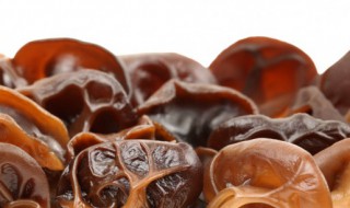 怎么样快速泡发木耳（怎么能快速泡发木耳）