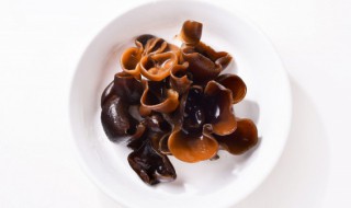 怎么泡发木耳快（怎么泡发木耳快一点）