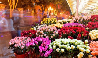 逛花市的起源为什么要逛花市（逛花市行花街的由来）