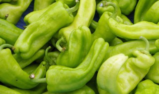 豆豉炒青椒怎么做好吃（青椒炒豆酱怎么做好吃）