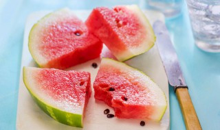 西瓜属于什么类植物啊 西瓜属于什么科类植物