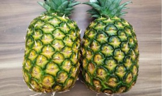 菠萝属于植物的哪一部分（菠萝属于植物的哪一个部分）