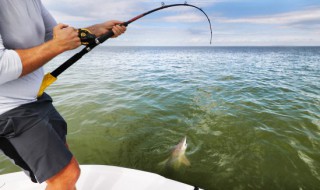 什么天气可以钓鲢鱼（天气热好钓鲢鱼吗）