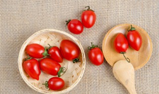 盆栽番茄要天天浇水吗 番茄开花的时候能浇水吗