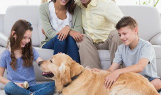 幼儿为什么喜欢游戏(幼儿喜爱游戏)