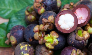 山竹放冰箱还是常温(山竹适不适合放冰箱)