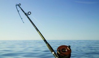 小白条鱼学名叫什么（白条是什么鱼又名是什么）