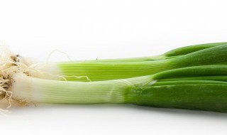 冬季家庭怎样储存大葱 冬天家庭如何保存大葱