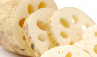 家庭冬季怎样储存莲藕 碗莲种藕冬天怎么保存