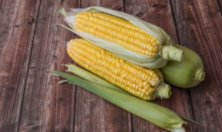 玉米要放冰箱保鲜吗 玉米能放冰箱保鲜吗