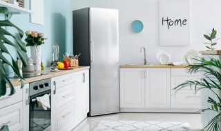 冰箱东西坏了怎么除去臭味 冰箱东西坏掉了怎么除味