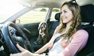 汽车镀晶后几天能淋雨有影响吗（车主镀晶好后几天不能淋雨）
