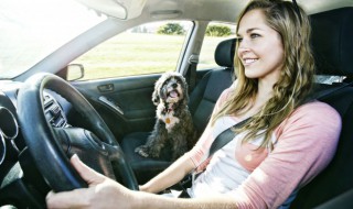 刚贴膜的汽车能淋雨吗（汽车整车贴膜后可以淋雨吗）