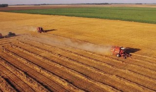 农村人怎么致富（农民如何致富农村人怎么致富）