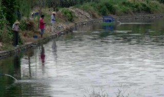 雨后水浑能钓鱼吗 下雨后水浑能不能钓鱼