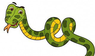 大王蛇的养殖方法 大王蛇怎么养殖