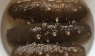 怎么发制海参的方法（海参怎么发制的简单步骤）