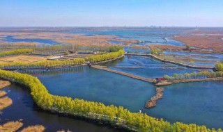 中国的最湿地是在什么地（中国最大的湿地叫什么）