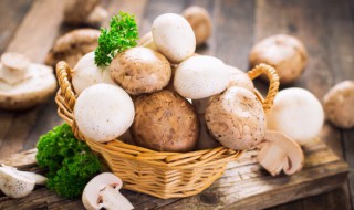 蘑菇放冰箱长白毛能吃吗（蘑菇放冰箱里长白毛能吃吗）