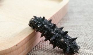 海参去腥方法 海参用什么去腥