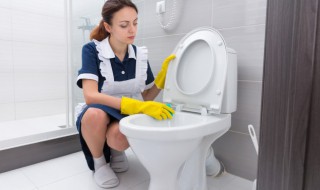 智能马桶盖怎么使用（智能马桶盖怎么使用垫）