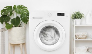 侧桶洗衣机怎么清洗 侧式滚筒洗衣机怎么清洗