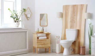 马桶什么材质 马桶什么材质的最好